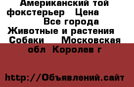 Американский той фокстерьер › Цена ­ 25 000 - Все города Животные и растения » Собаки   . Московская обл.,Королев г.